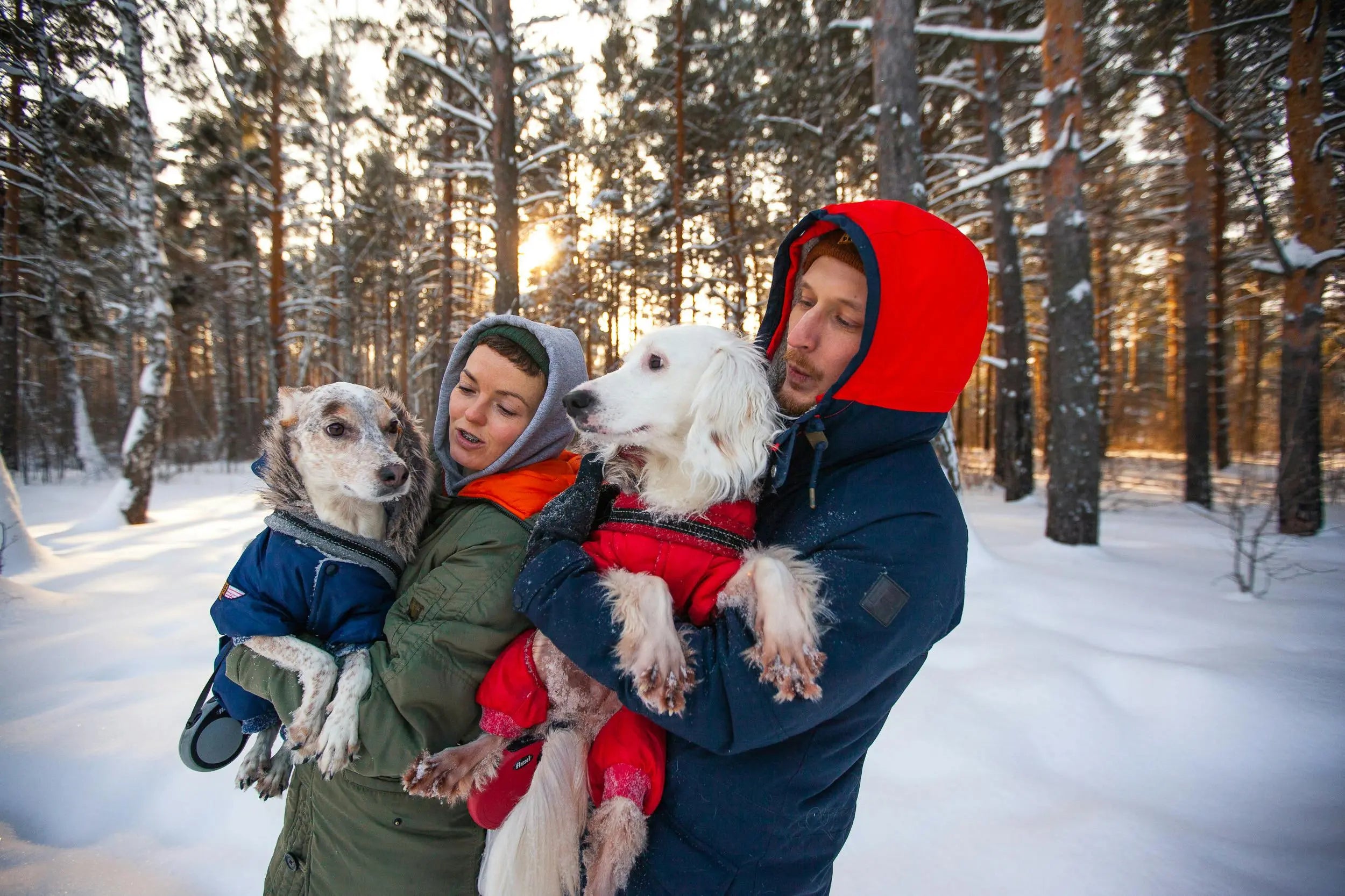 Dog Coats Selection for Active vs. Less Active Dogs