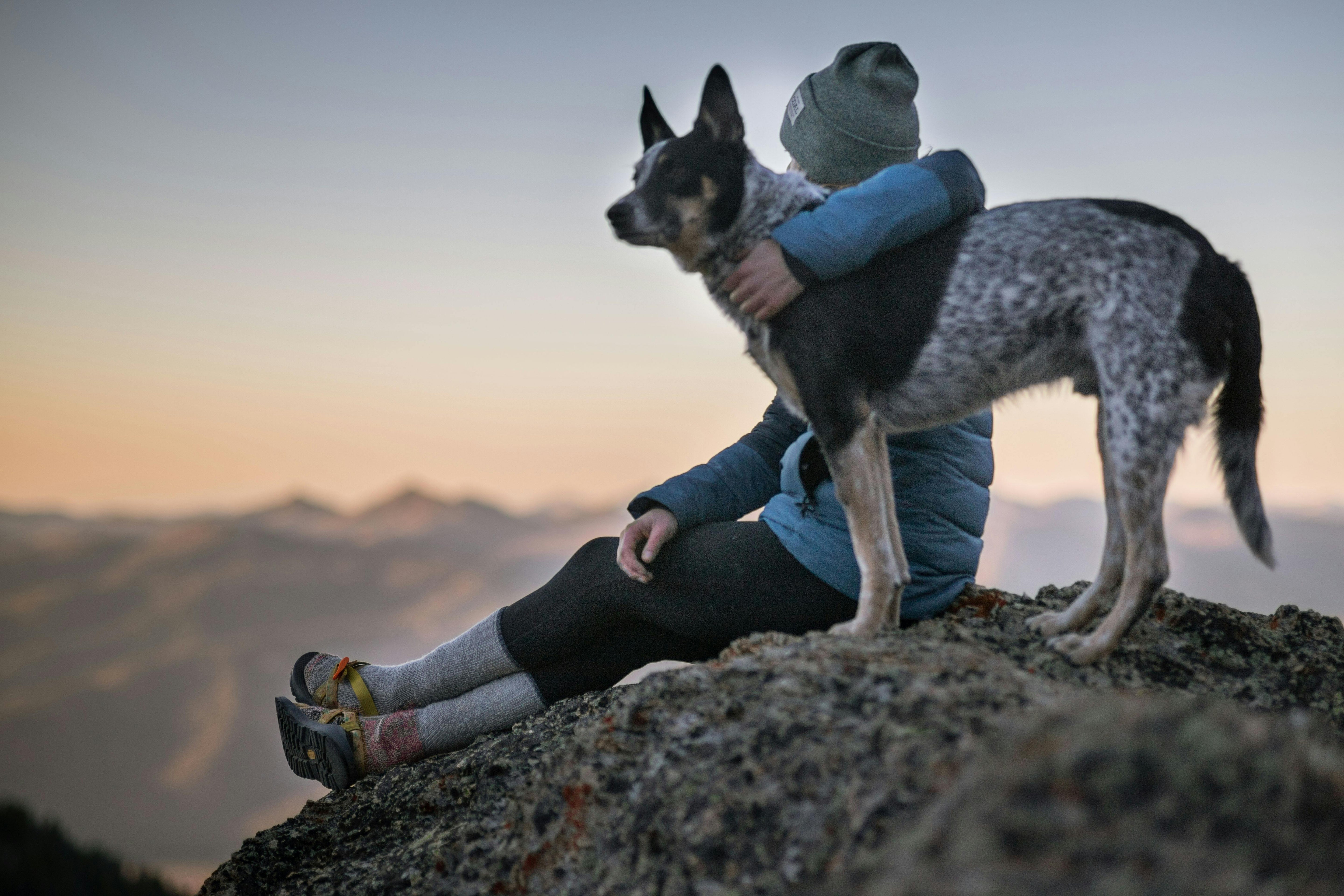 Beyond the Jacket: A Guide to Cold Weather Dog Care
