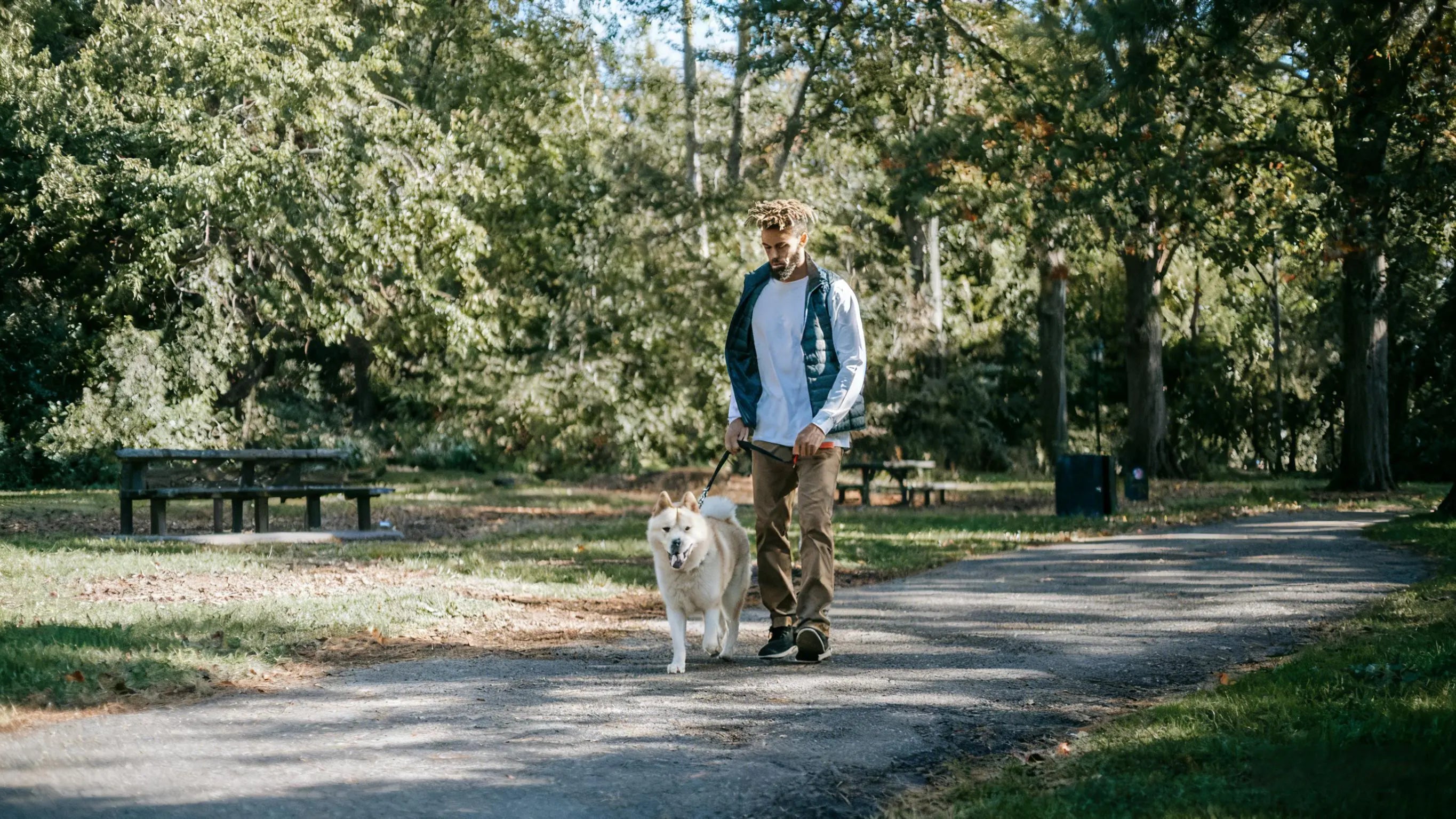 Choosing the Best Dog Coats for Daily Use