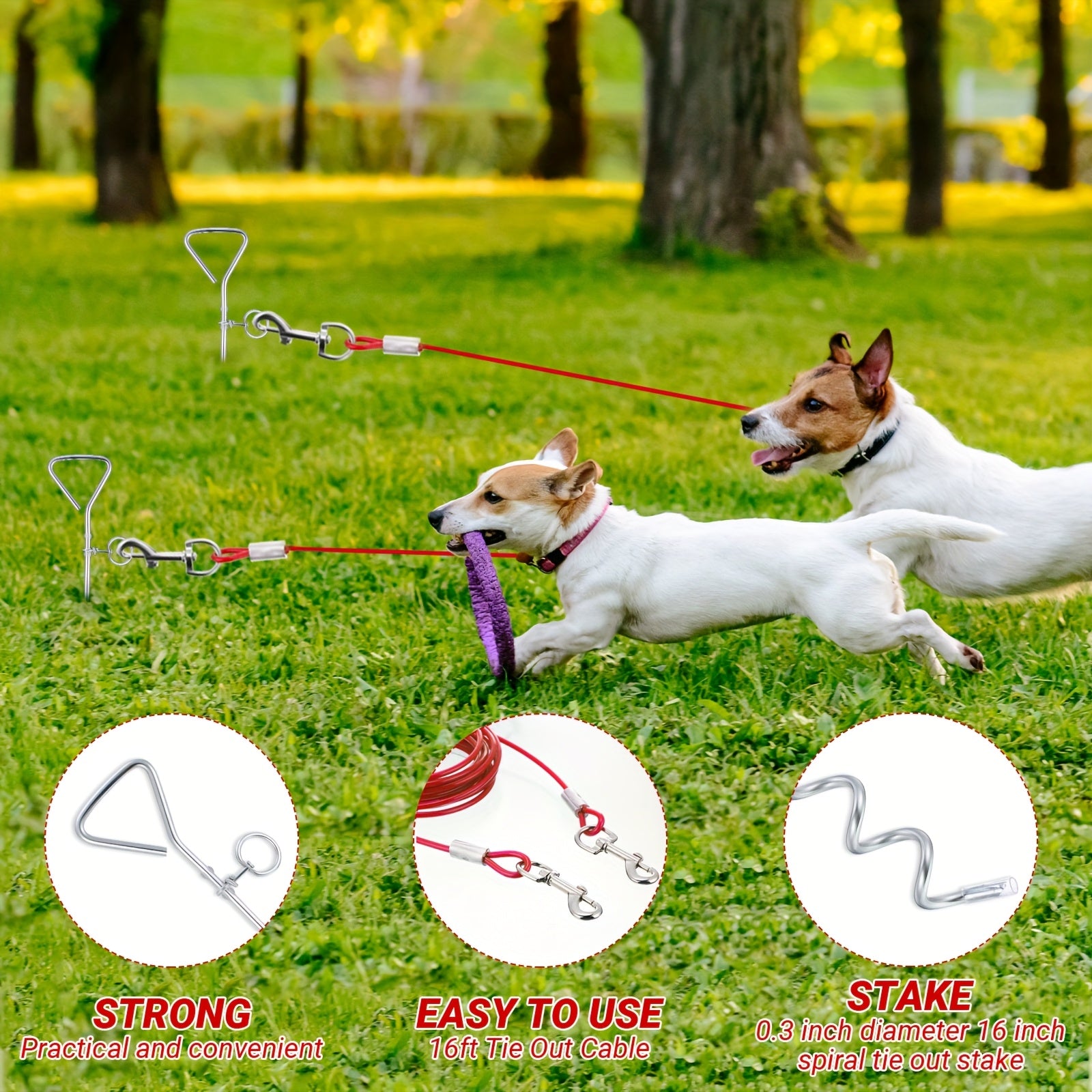 360° Tangle-Free Spiral Dog Tie-Out Stake