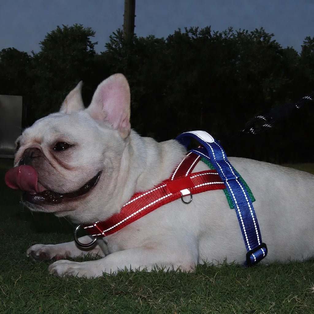 Reflective No-Pull Durable Dog Harness