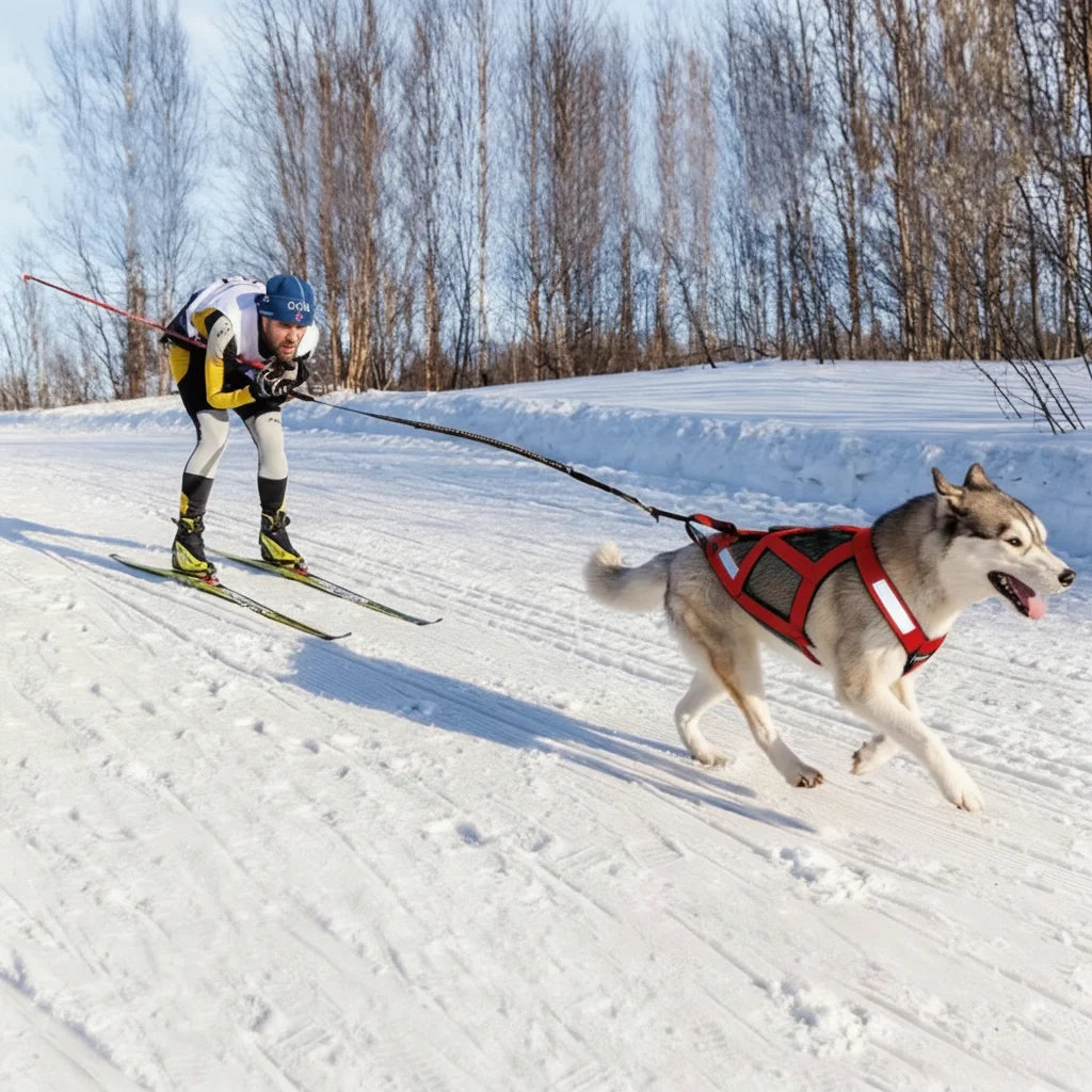 Durable Reflective Waterproof Dog Harness