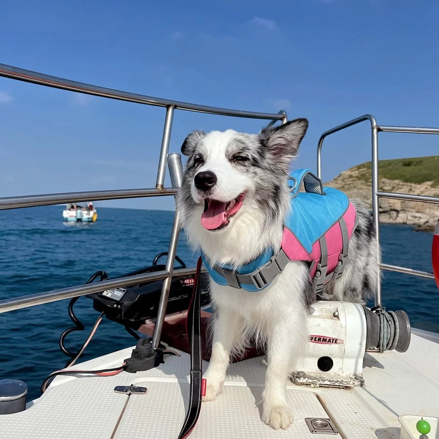 Reflective Ripstop Flotation Dog Life Jacket