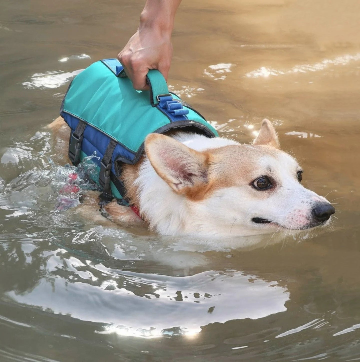 Reflective Ripstop Flotation Dog Life Jacket