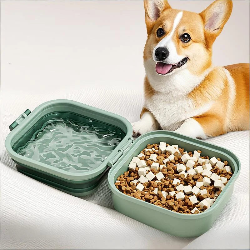 Collapsible Double Dog Bowl