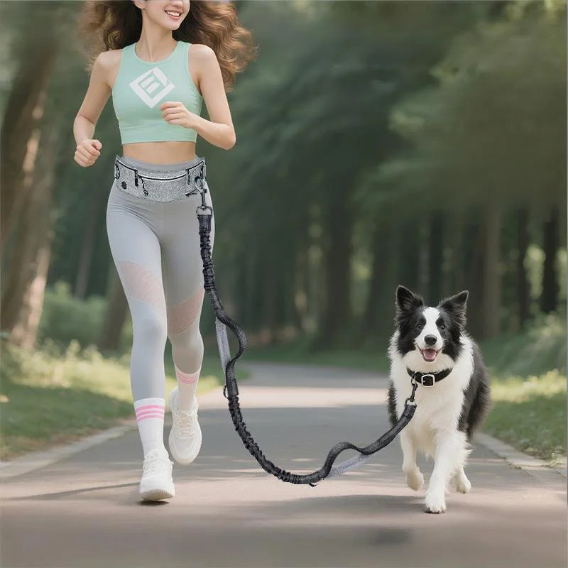 Shock-Absorbing Reflective Hands-Free Running Dog Leash