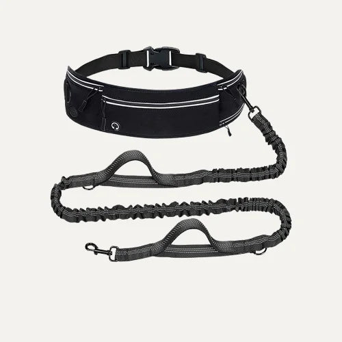 Shock-Absorbing Reflective Hands-Free Running Dog Leash