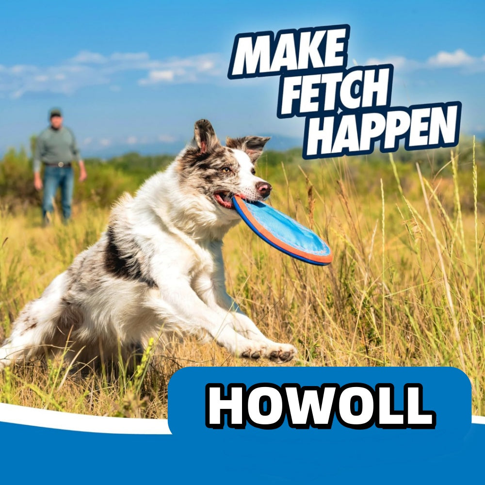 SkyChase Dog Flying Disc