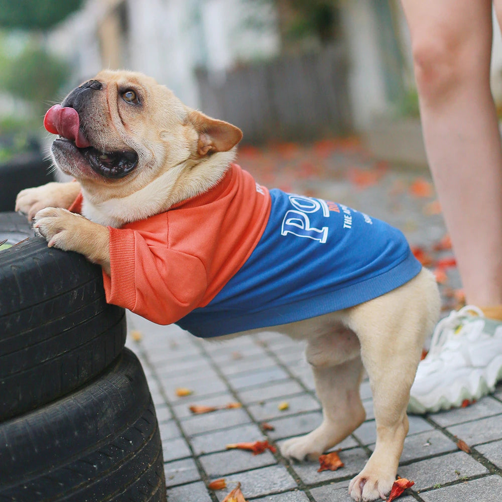 Casual Cotton Dog Sweatshirt