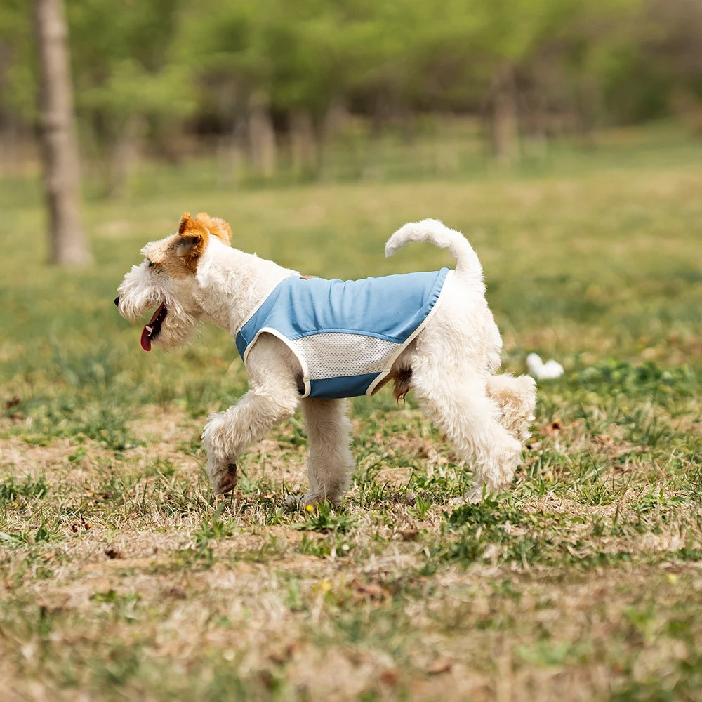 Cooling Breathable Dog Vest