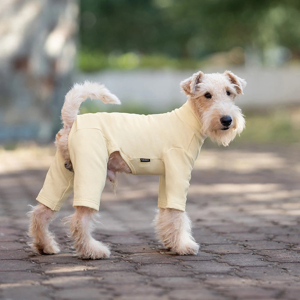 FlexCore Dog Bodysuit