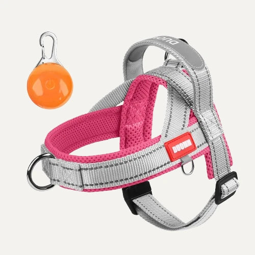 Reflective Saddle Dog Harness