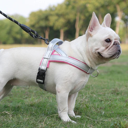 Reflective Saddle Dog Harness