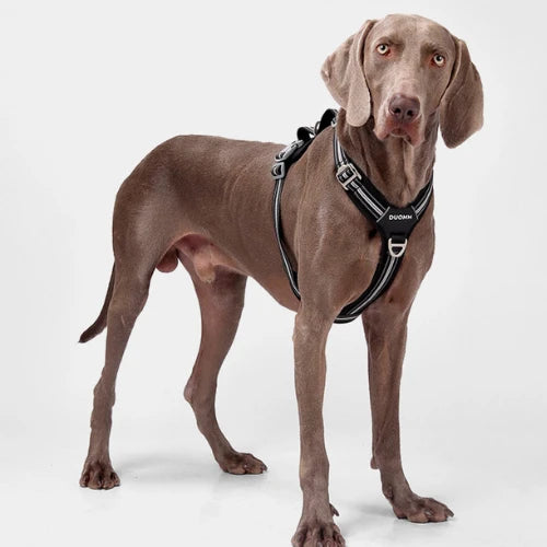 UltraGuard Dog Harness