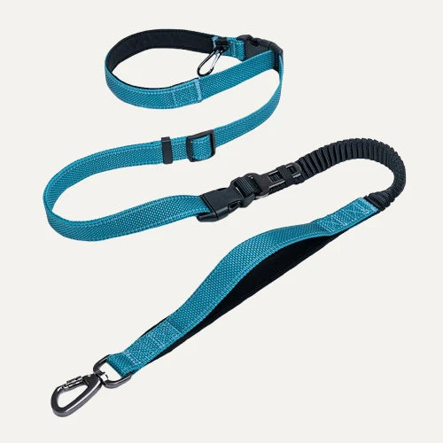Multi-Function Elastic Dog Leash