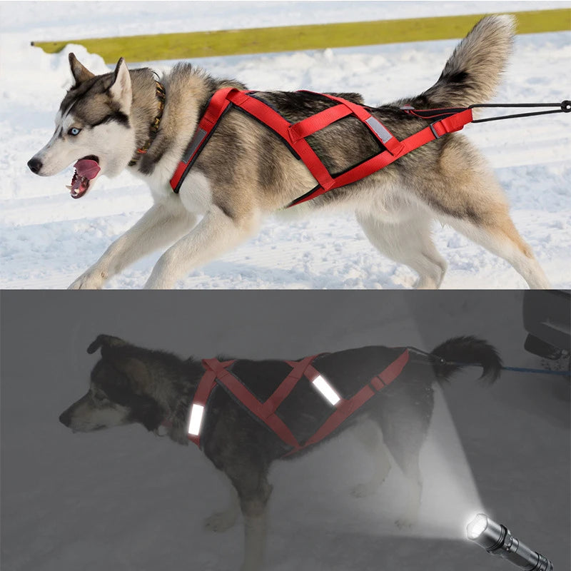 Durable Reflective Waterproof Dog Harness