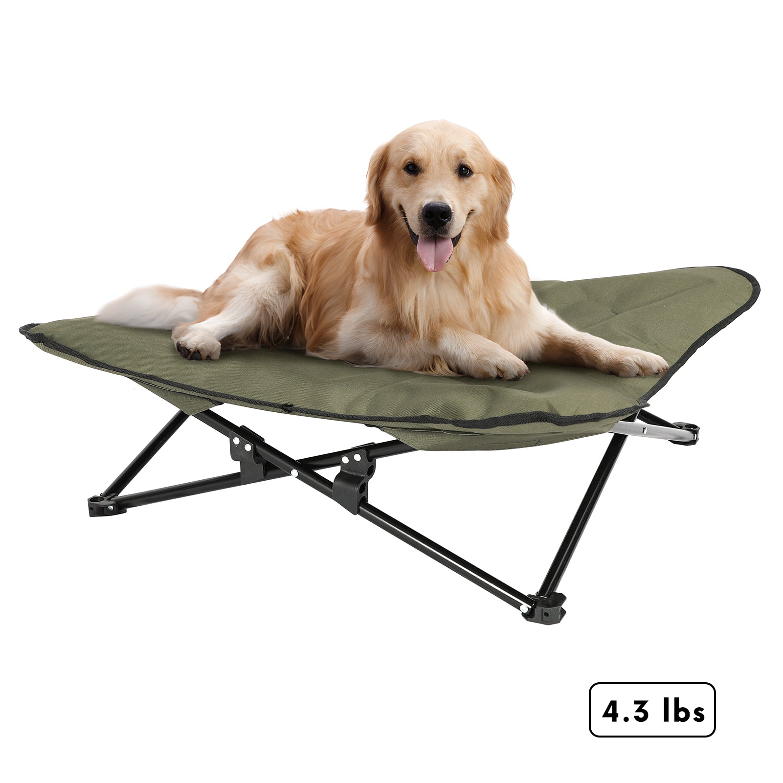 PawsRest Pet Foldable Bed
