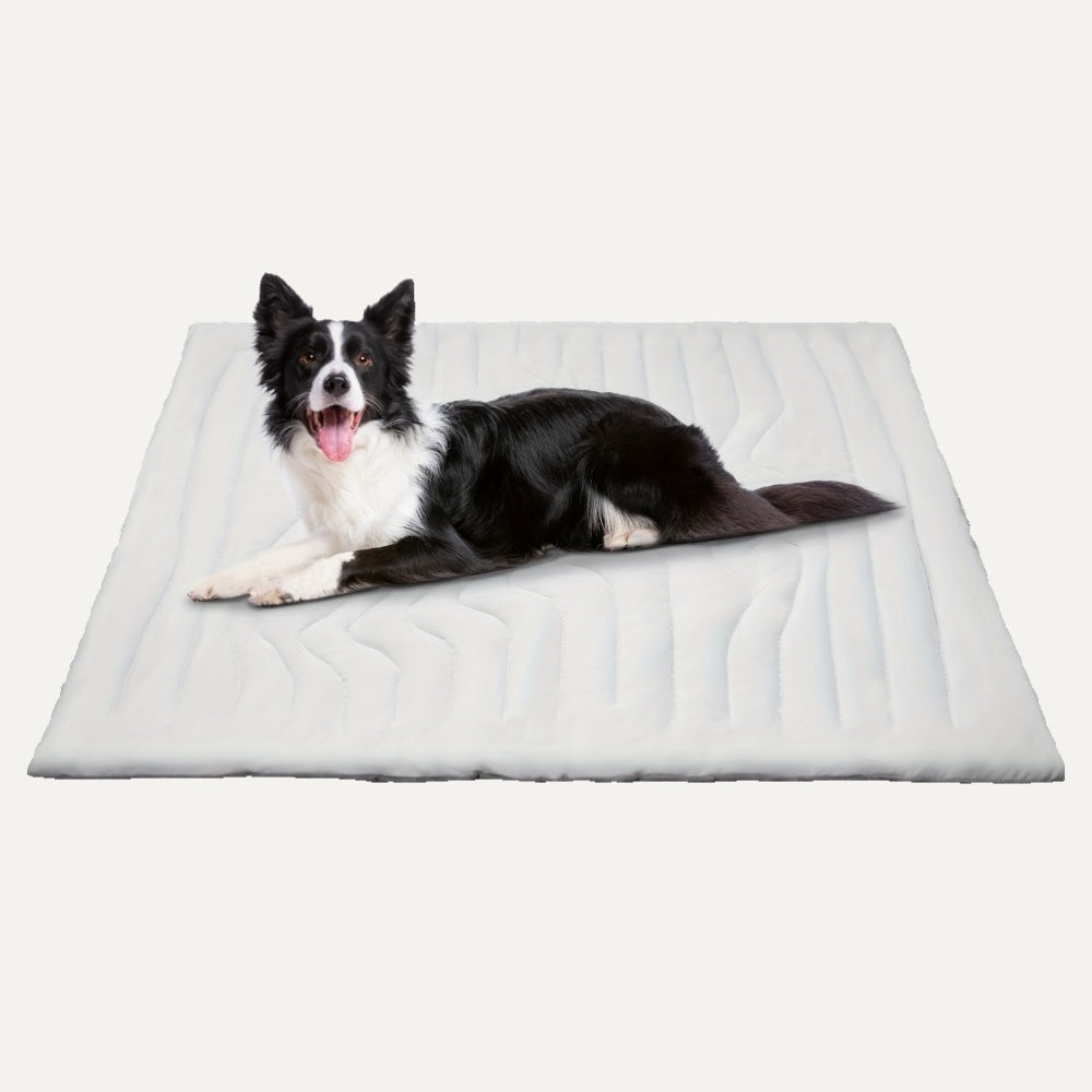 CoolPaws Cooling Pet Mat