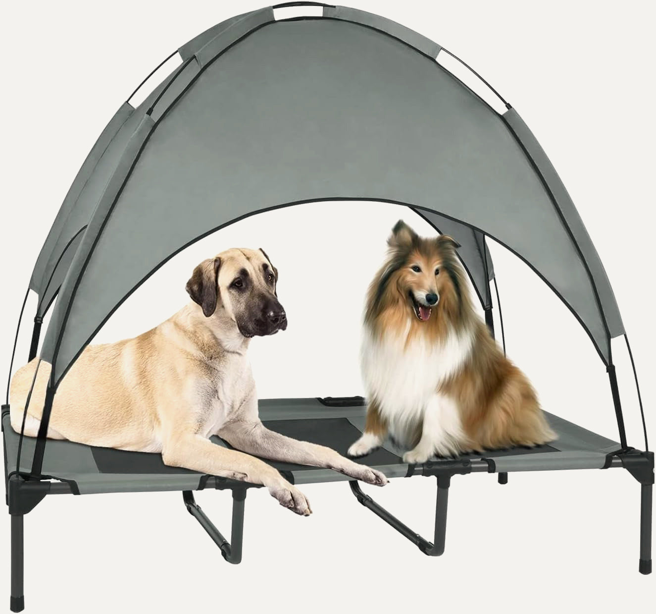 ShadePaws Elevated Dog Bed with Removable Canopy