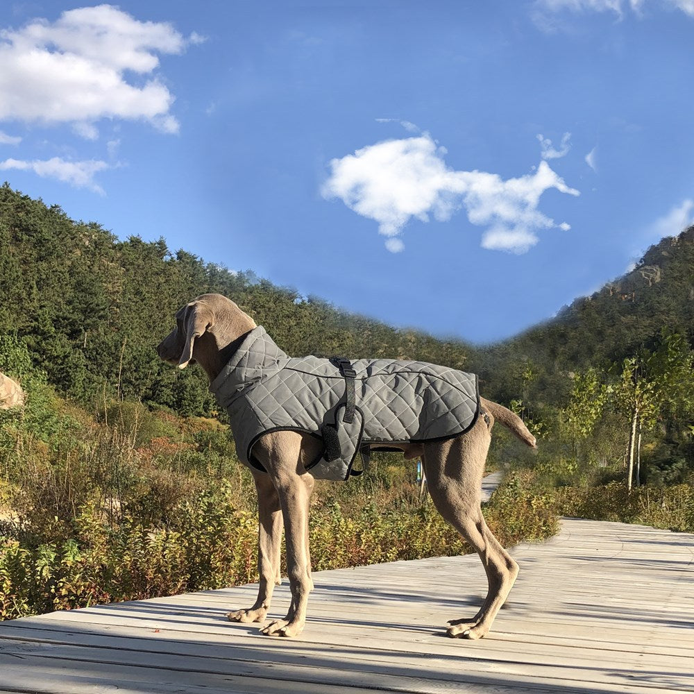 ReflectaGuard Dog Jacket