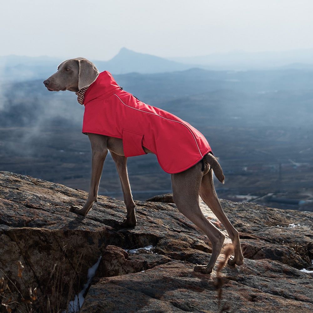 Dual-Collar Cape Dog Jacket