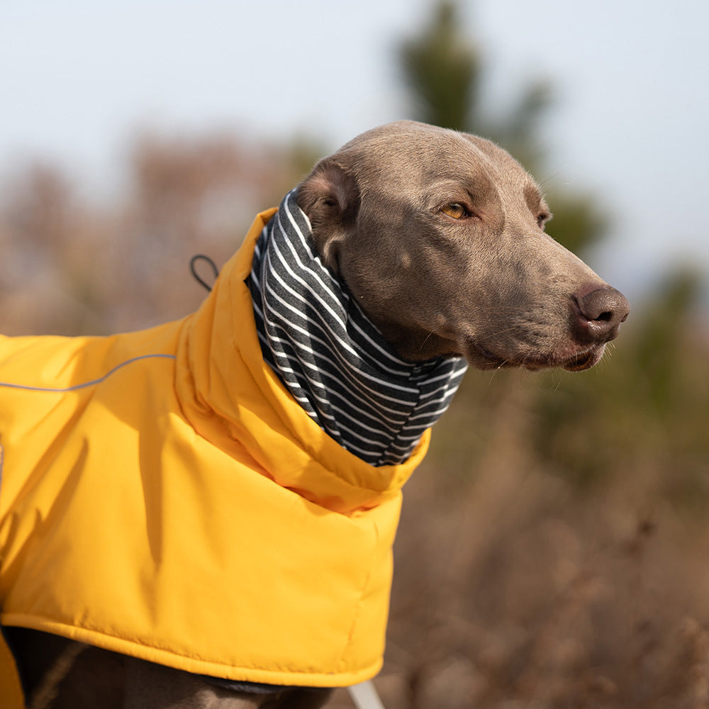 Dual-Collar Cape Dog Jacket