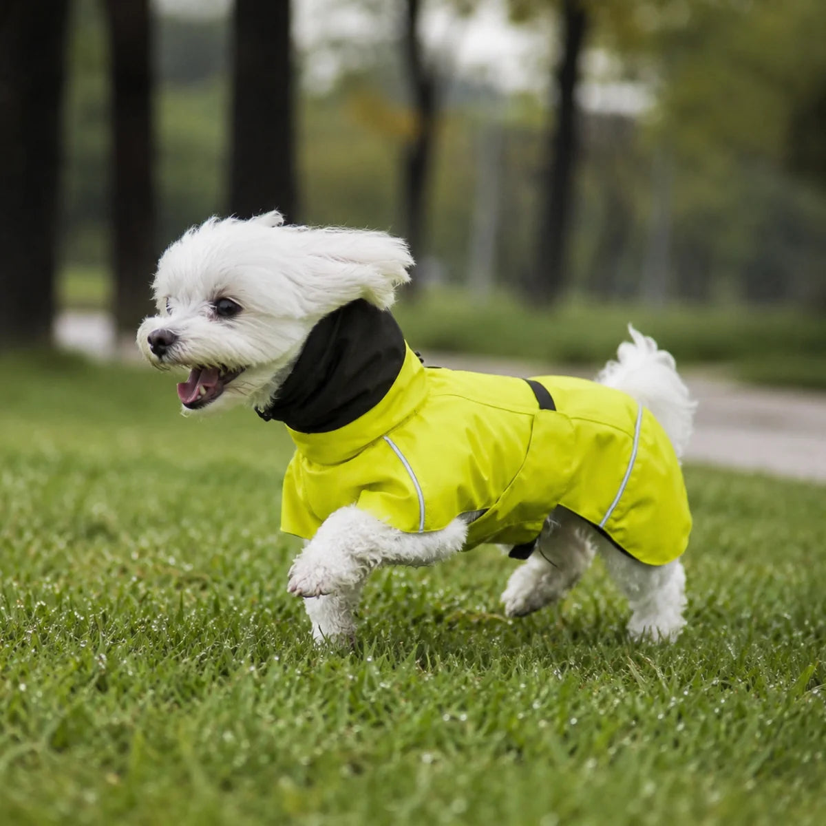 Dual-Collar Cape Dog Raincoat