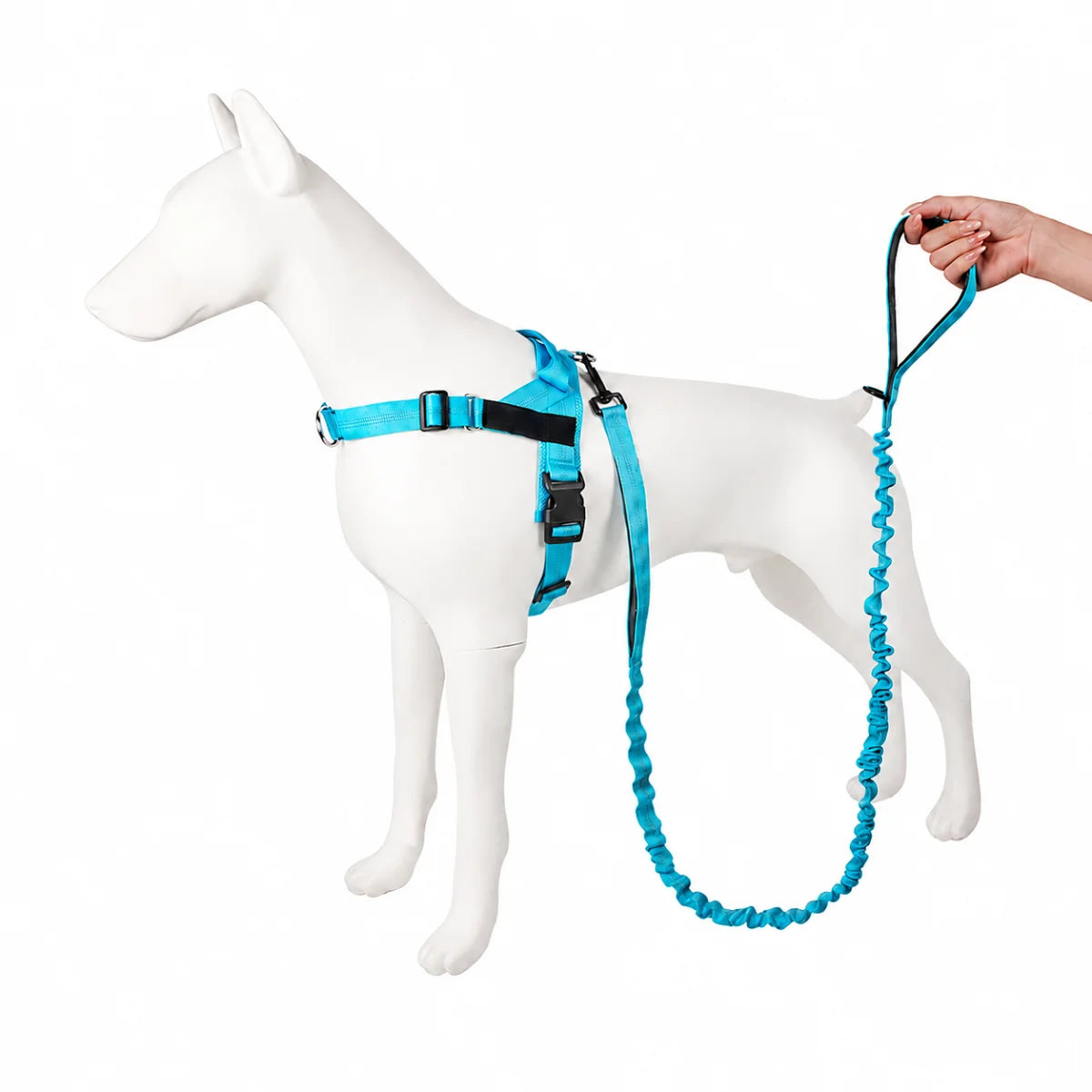 Elastic Tactical Dog Leash with Dual Handles