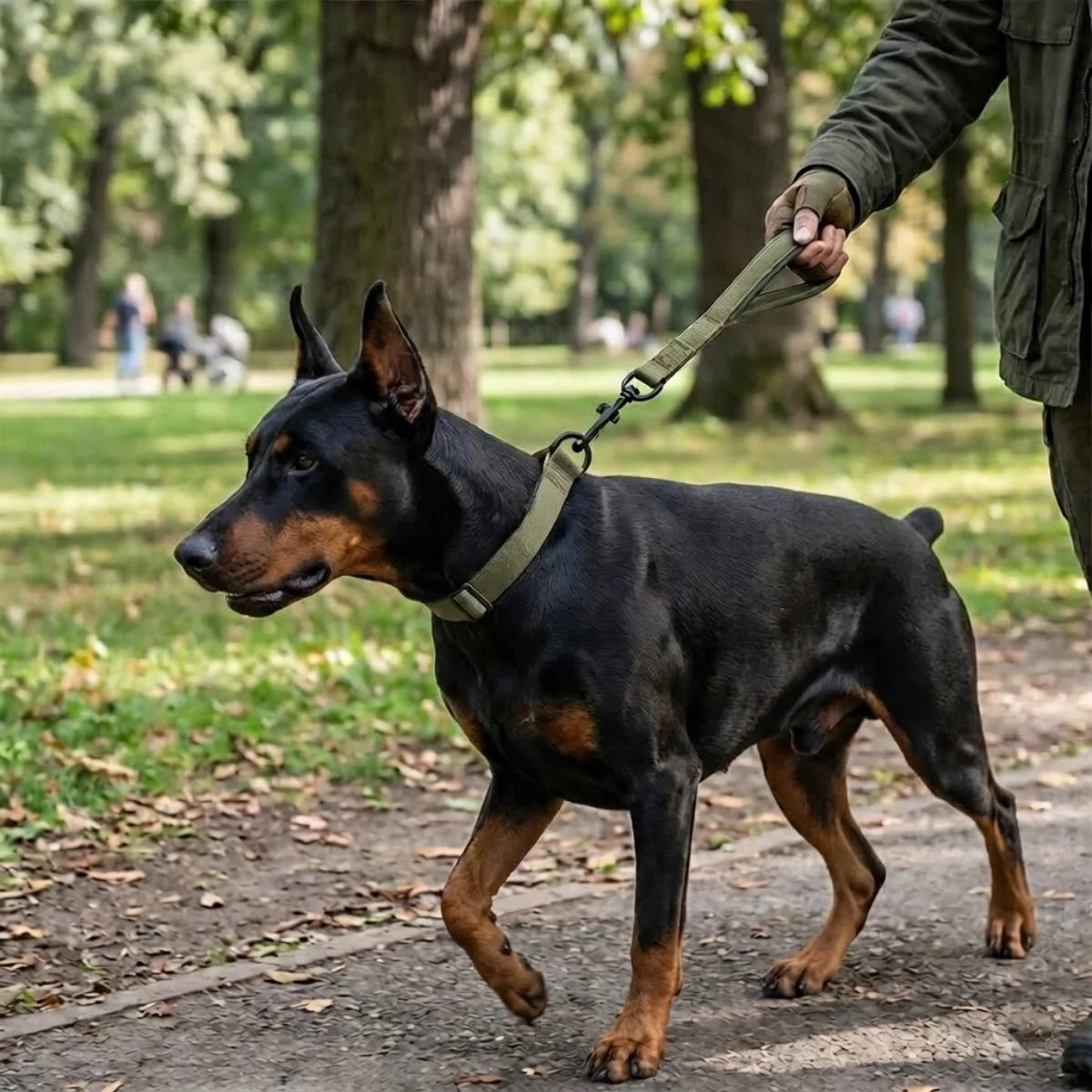 No-Pull Adjustable Tactical Dog Collar