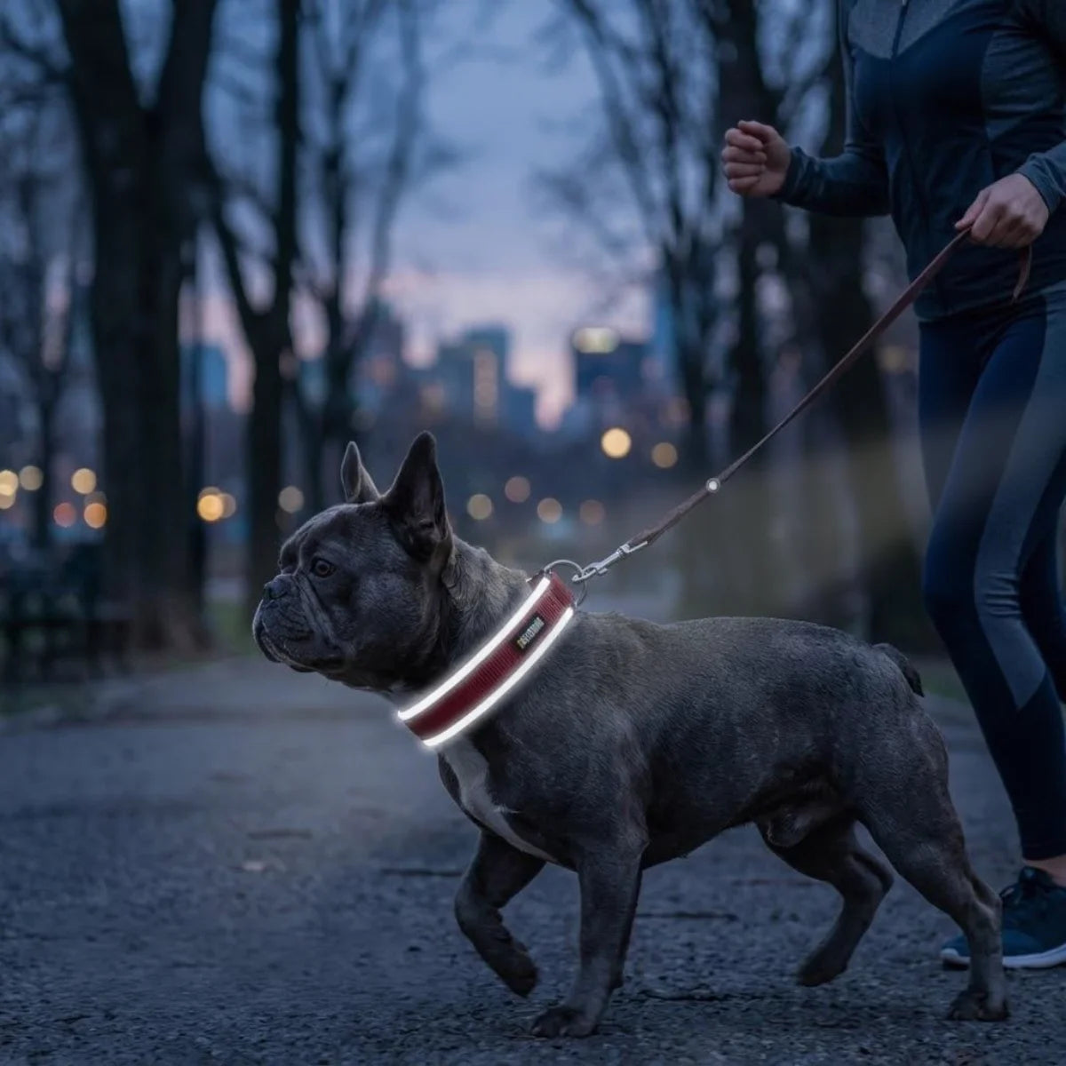 Reflective Adjustable Nylon Dog Collar