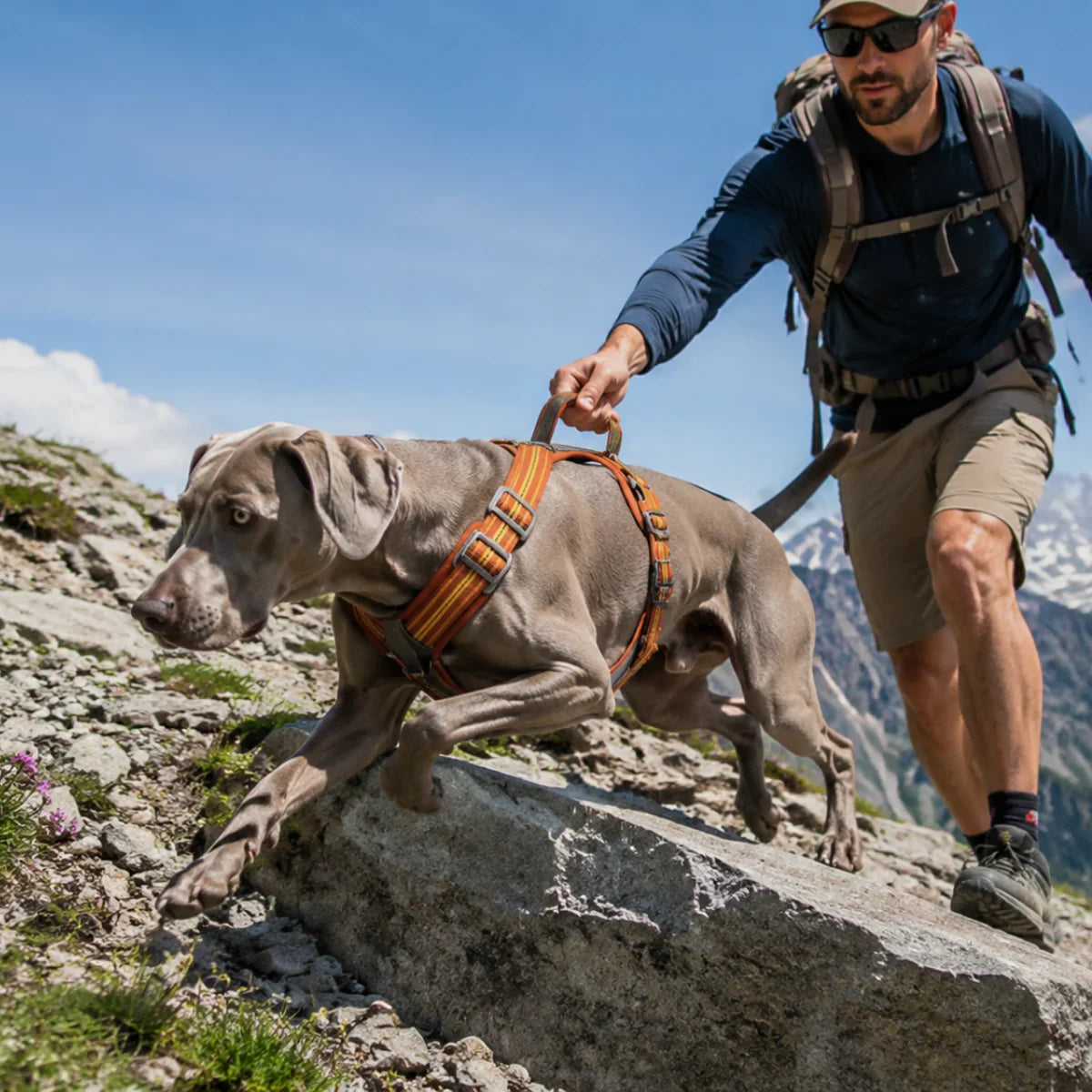 Dual-Handle Anti-Slip Dog Harness