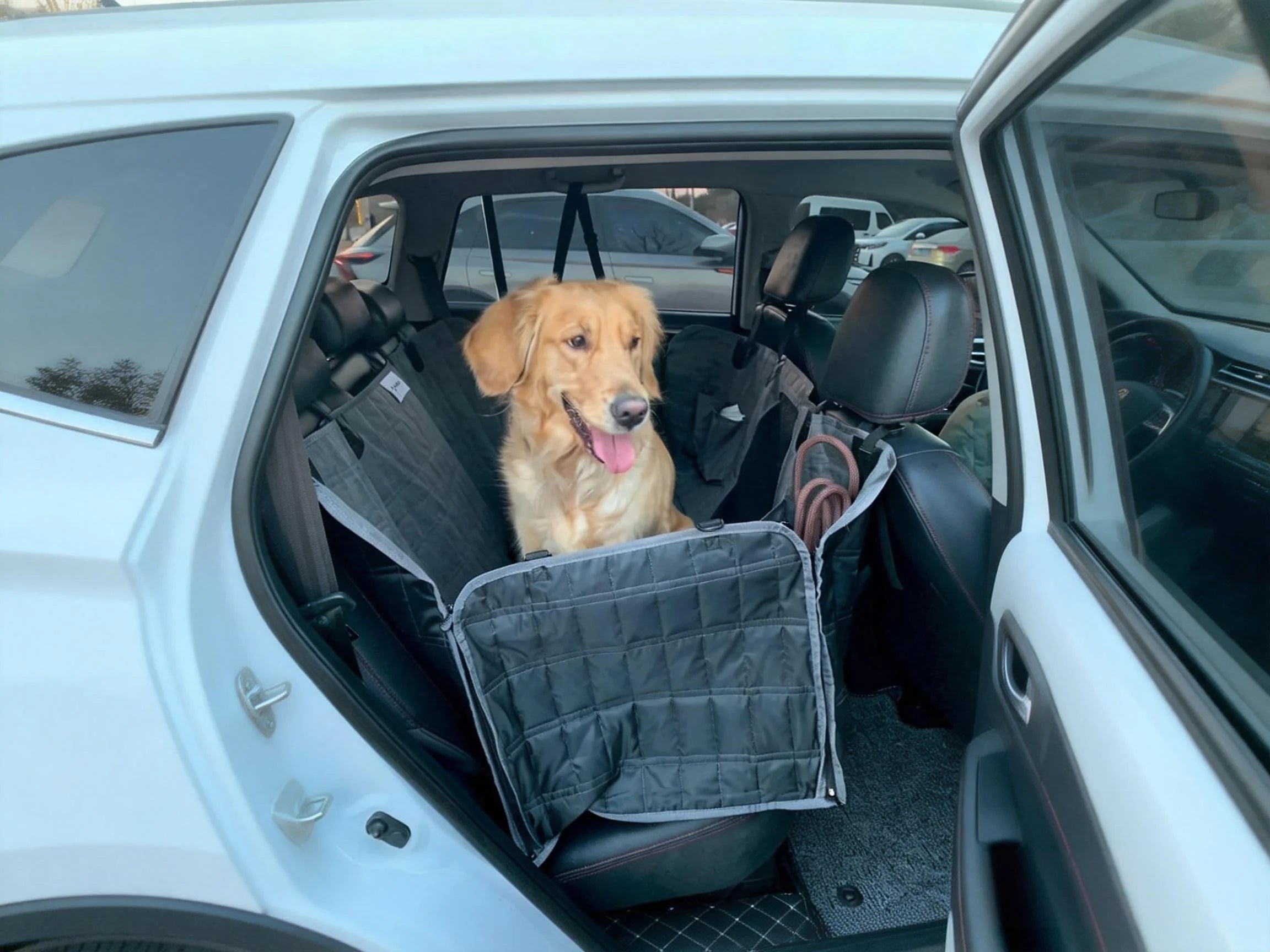 A golden retriever sits in the car with a car cover.