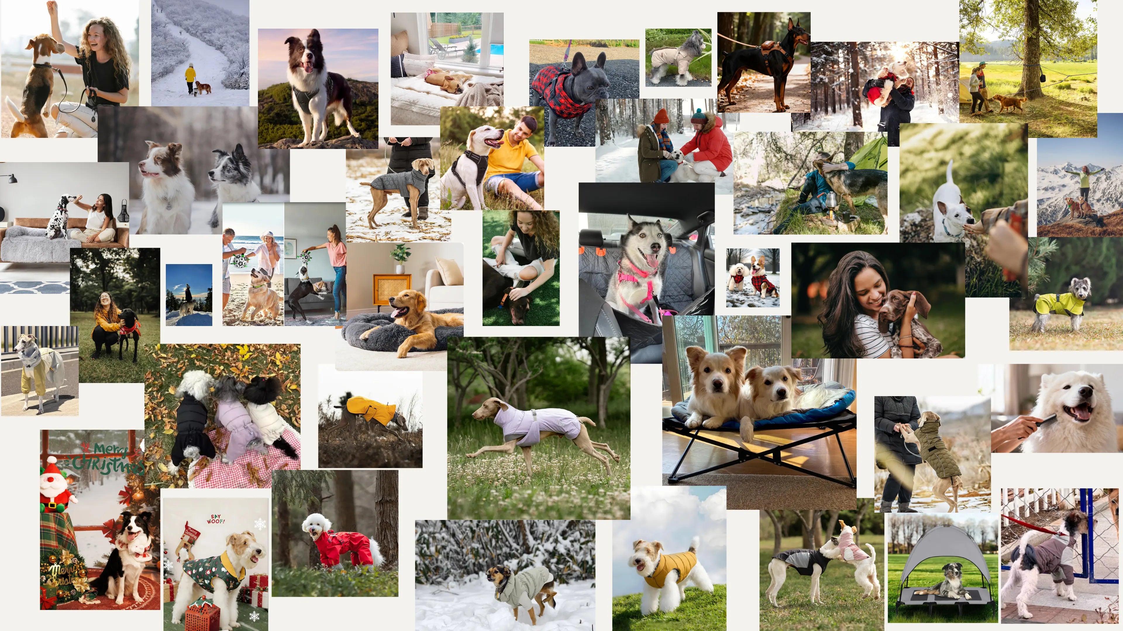 A Collection of Photowalls Featuring Contemporary Mainstream Apparel