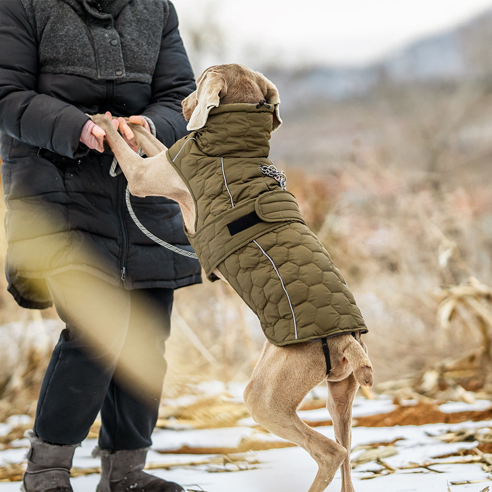A dog wearing a PortaPup Insulated Dog Jacket plays with a person in the snow.