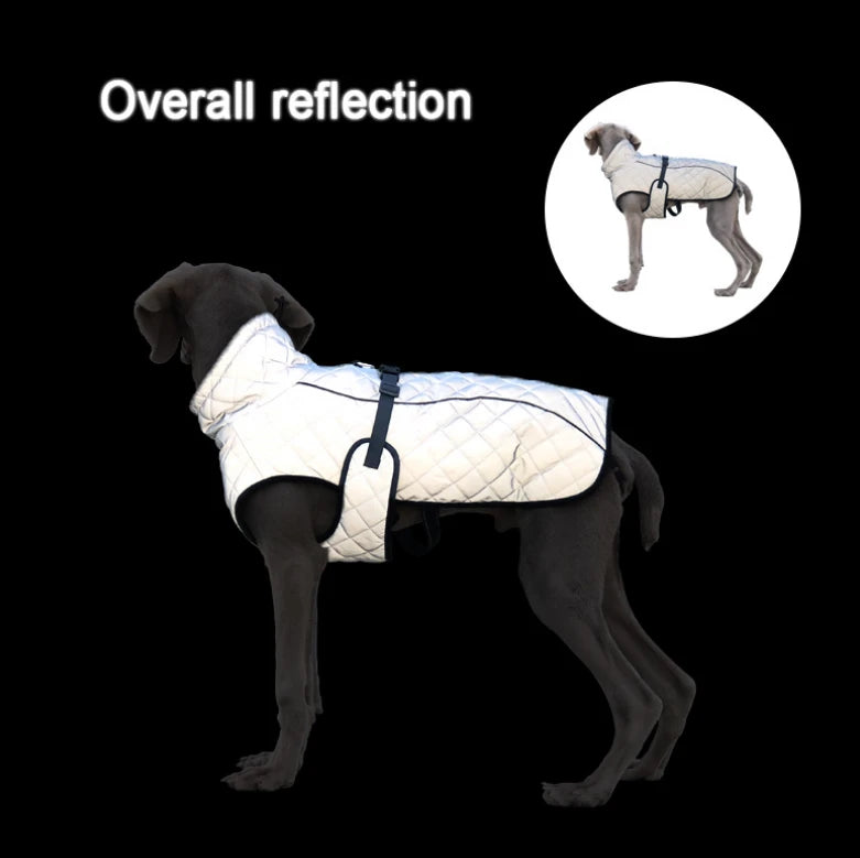 Schematic Diagram Comparing Full-Body Reflective Dog Jackets