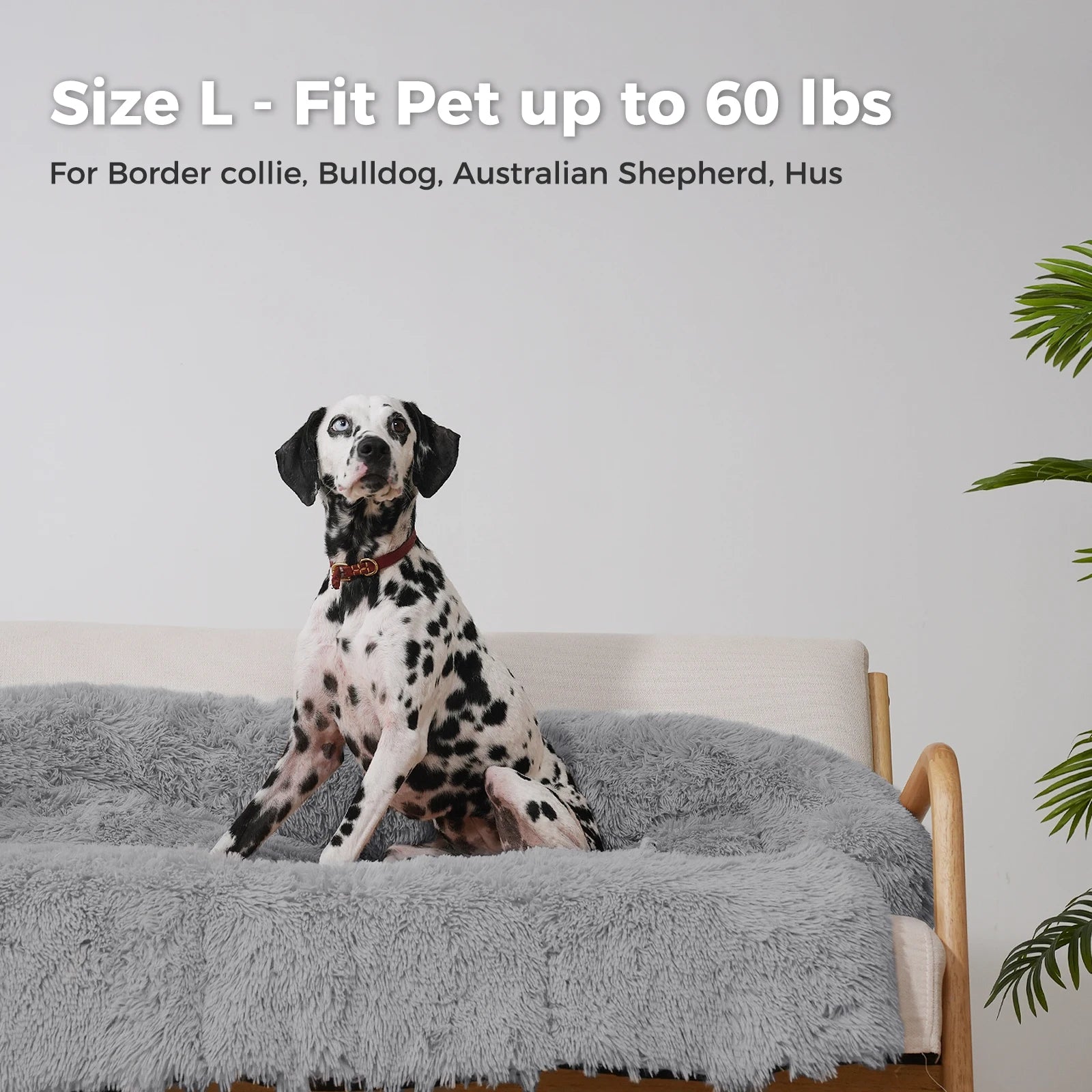 SnugglePaws Self-Heating Dog Mat