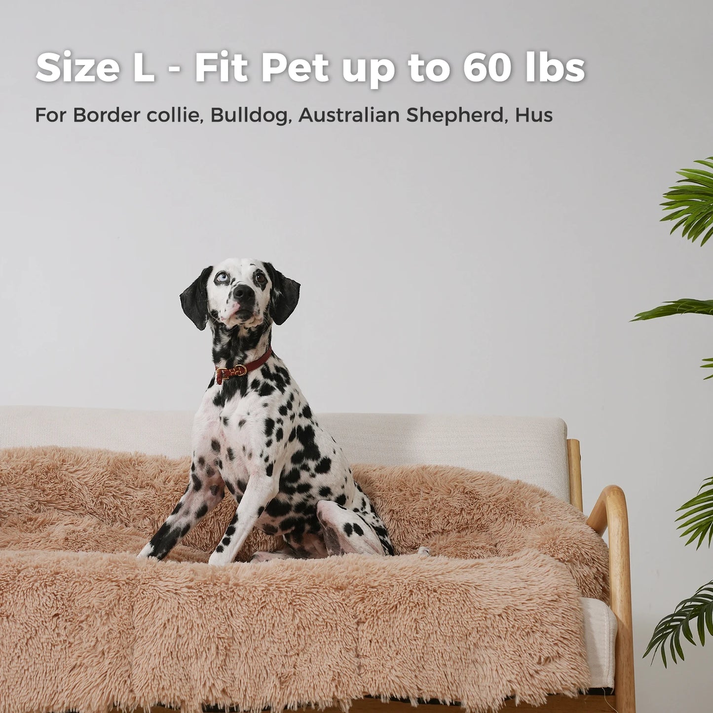 SnugglePaws Self-Heating Dog Mat