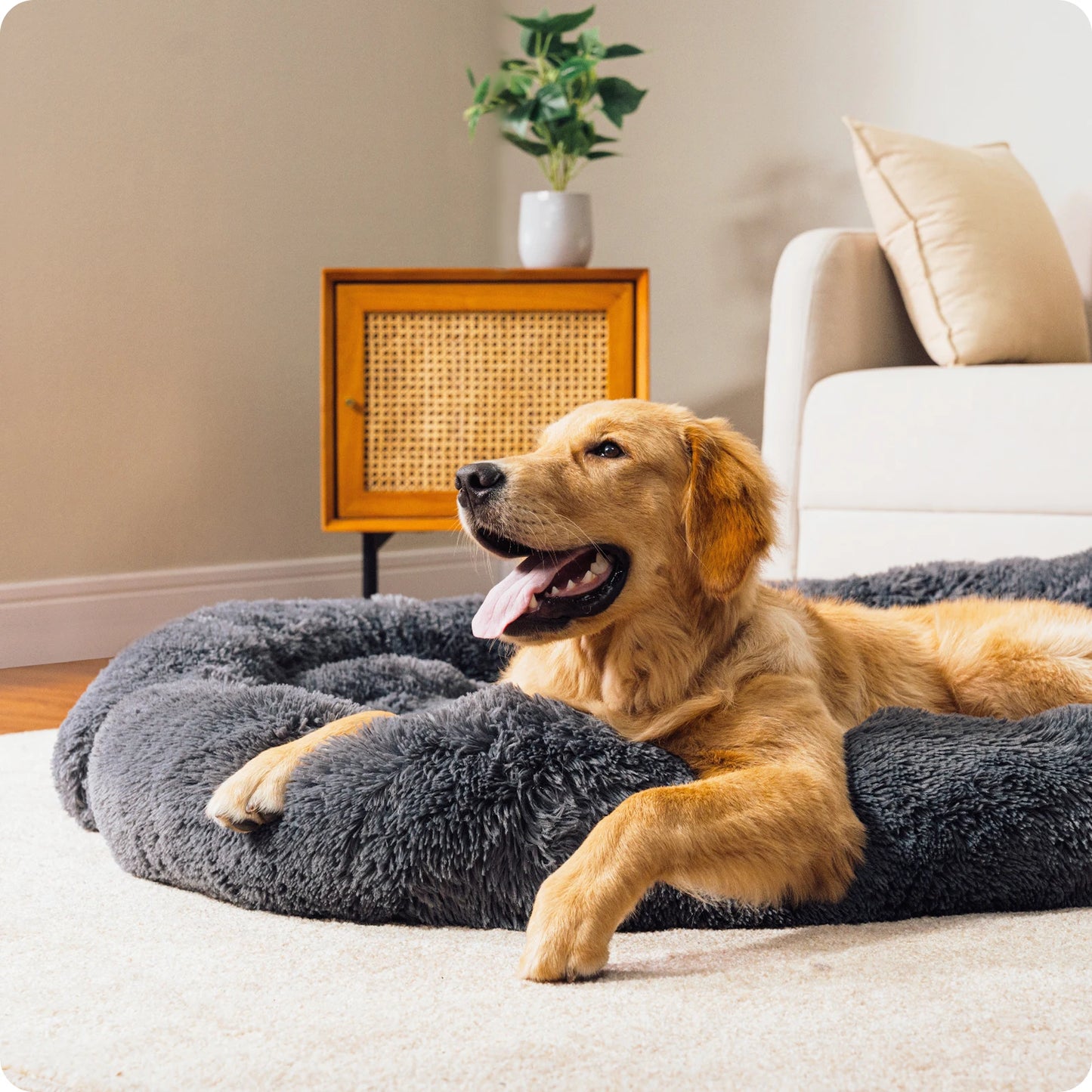 SnugglePaws Self-Heating Dog Mat