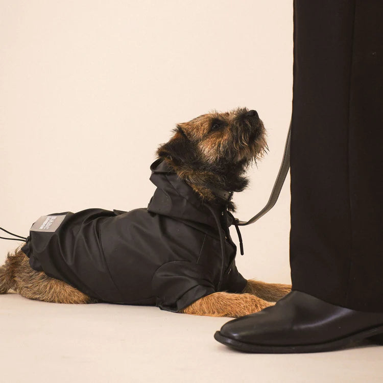 Product image for Barc London's dog raincoat: A dog wearing the raincoat lying on the ground.