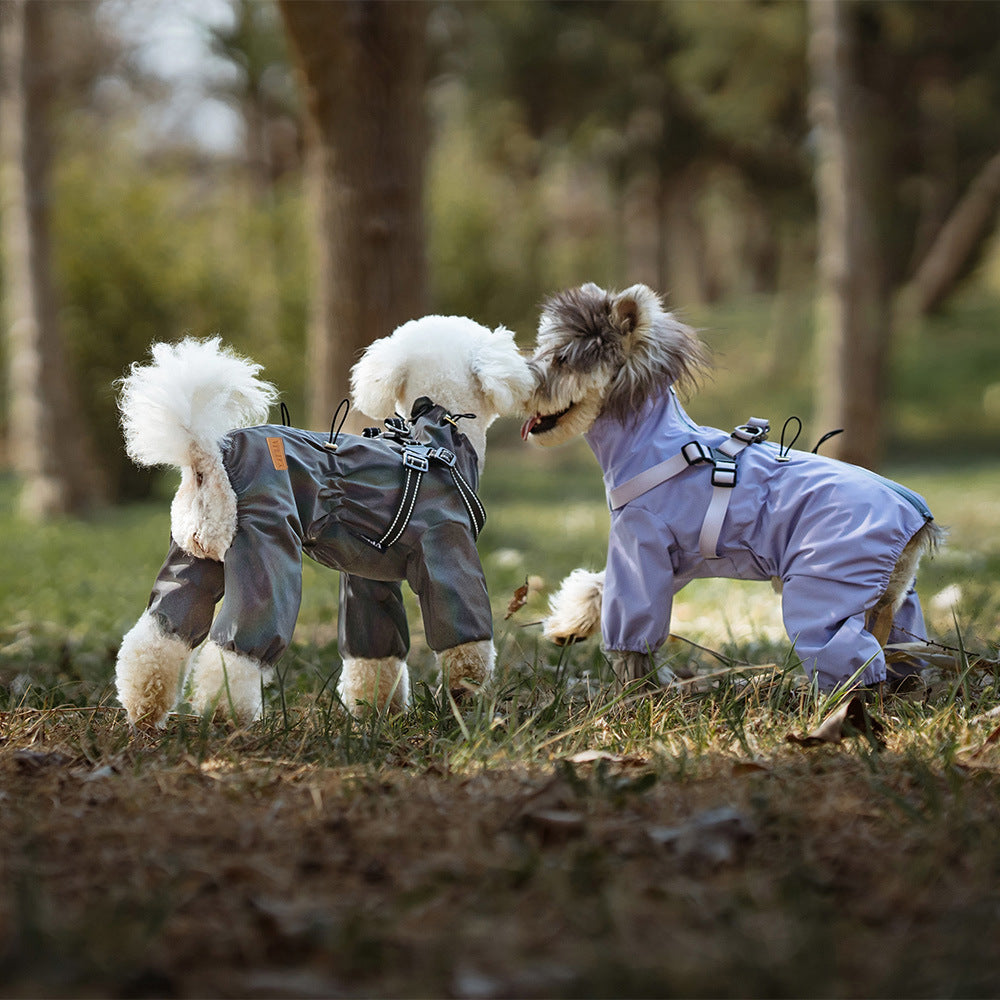 Two dogs wearing raincoats stood on the lawn.