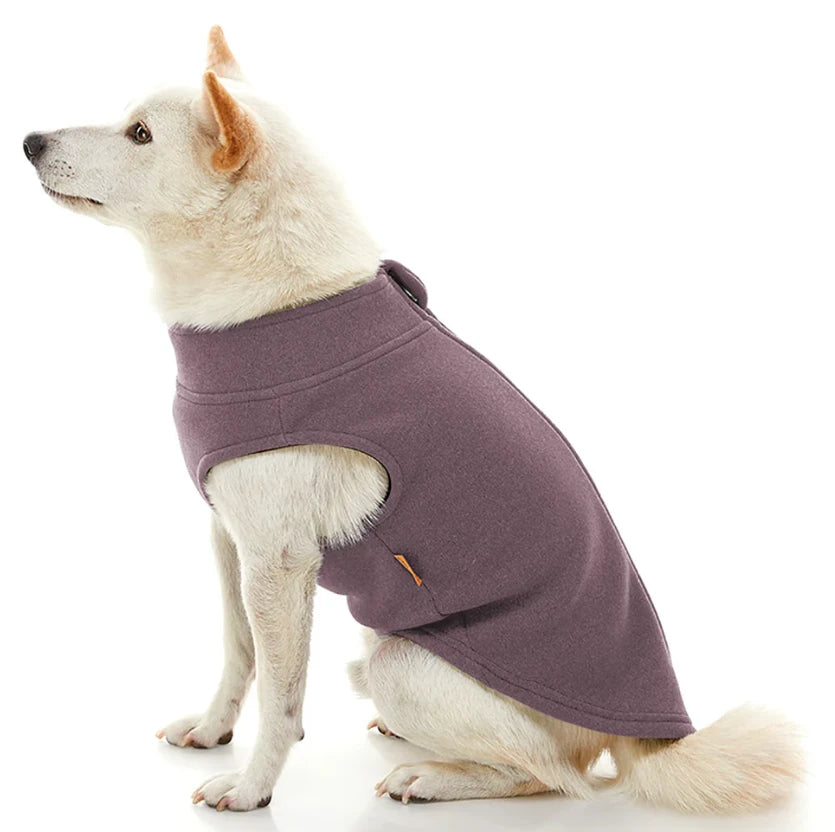 A white background image of a puppy wearing a coat