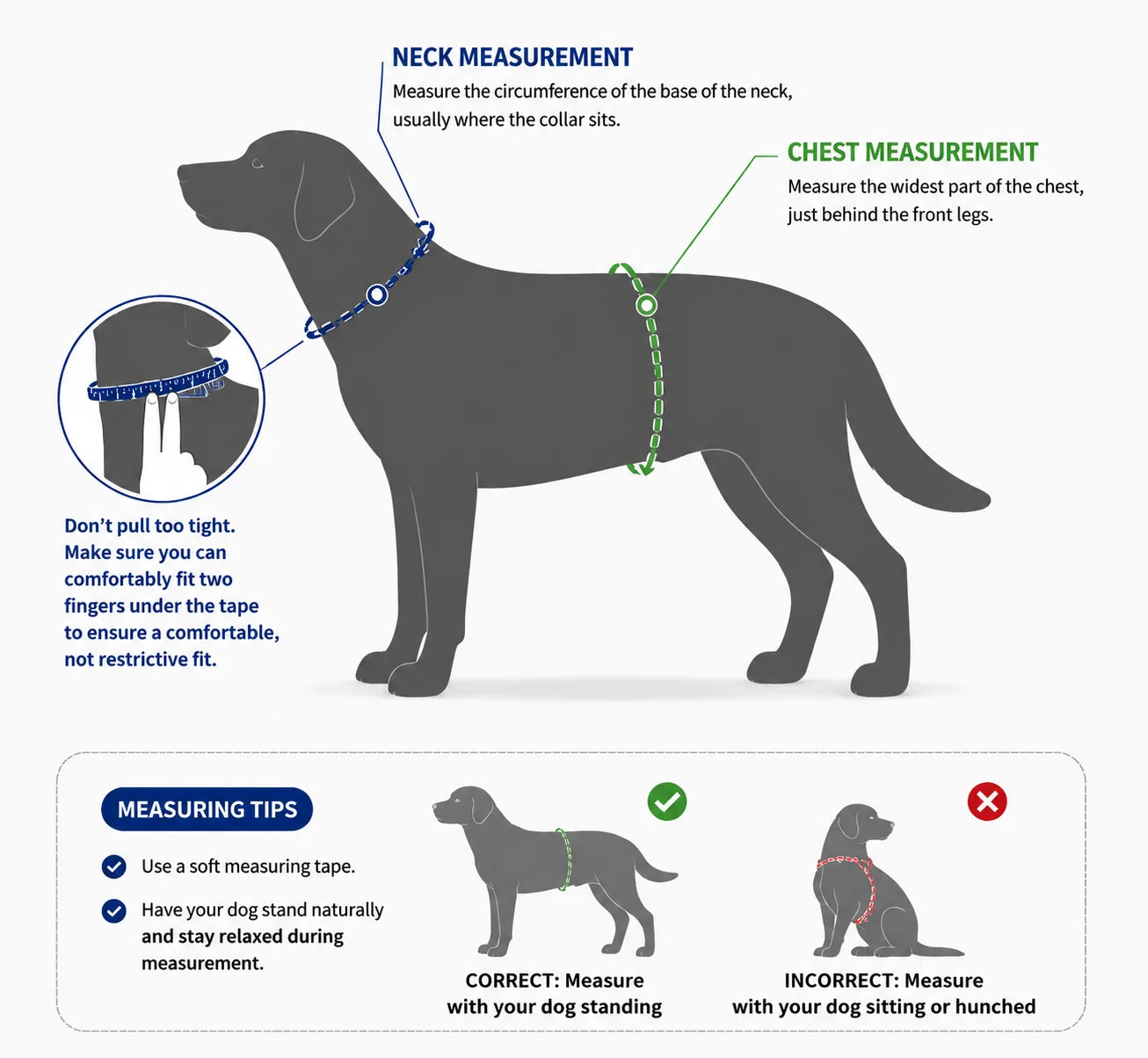 A detailed diagram showing how to measure a dog’s chest and neck, including important tips.