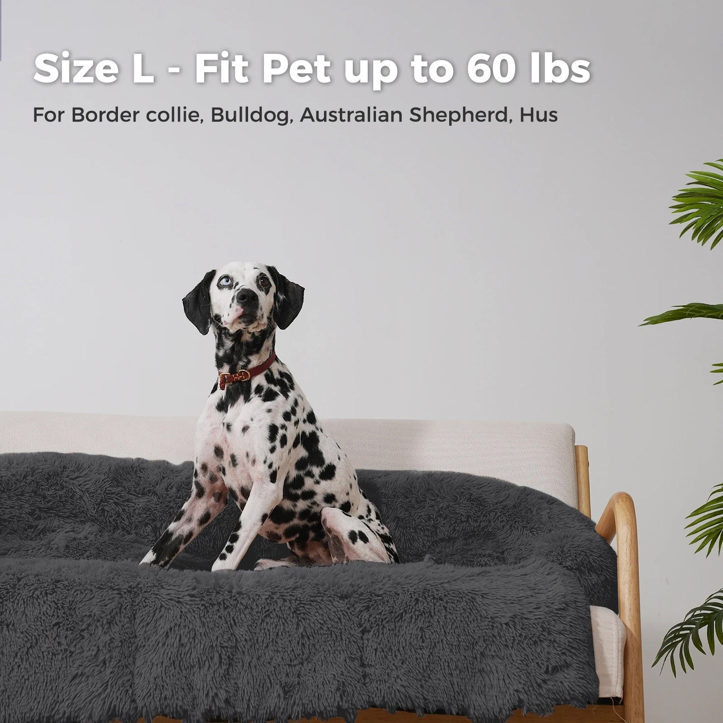 SnugglePaws Self-Heating Dog Mat
