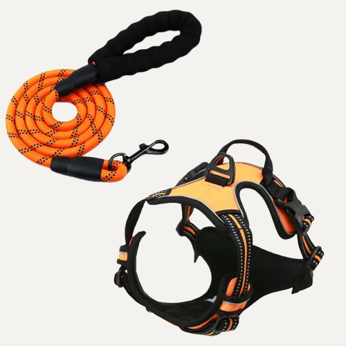 No-Pull Dual-Clip Handle Dog Harness