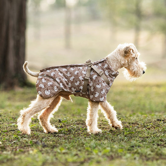 Padded Dog Vest