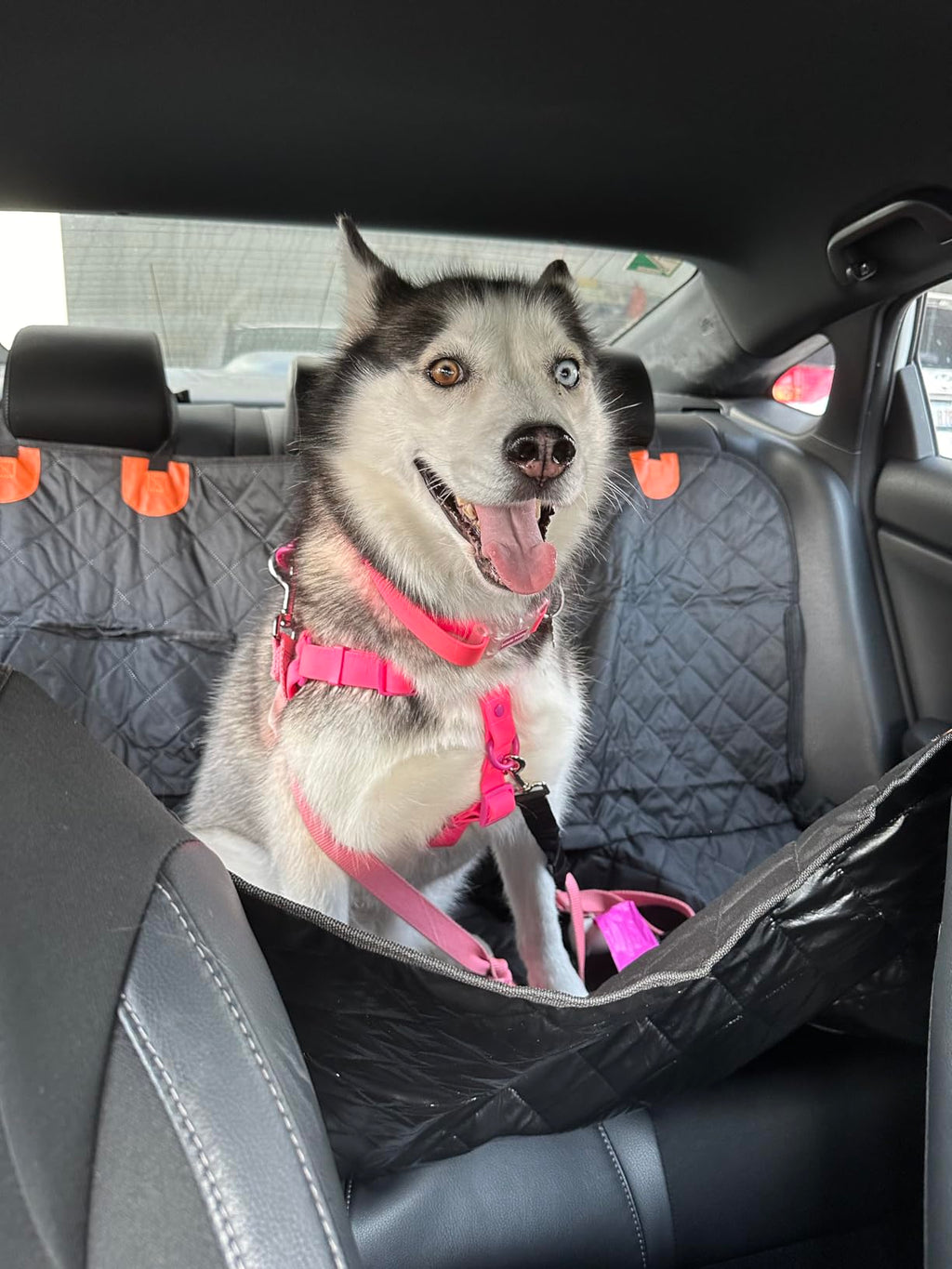URPOWER Waterproof Dog Car Seat Cover