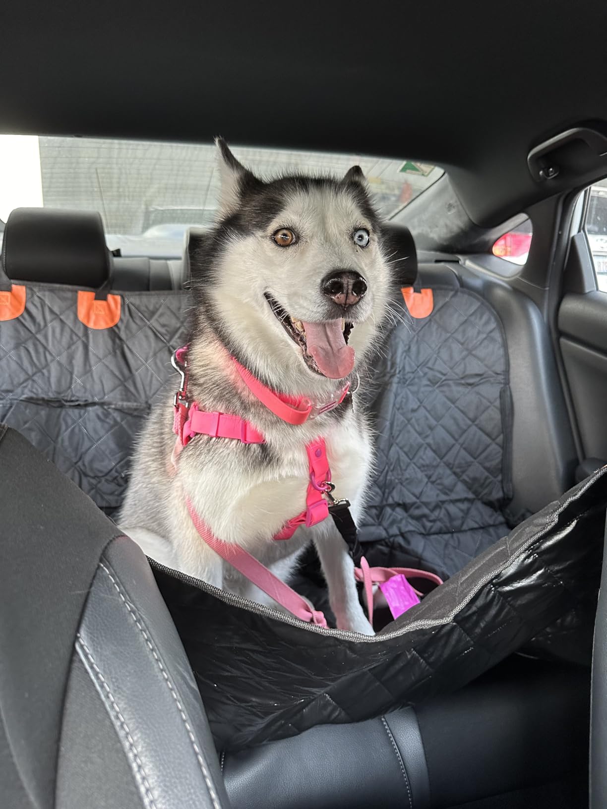 URPOWER Waterproof Dog Car Seat Cover