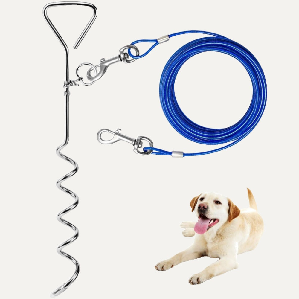 PawSecure Ground Tie-Out System
