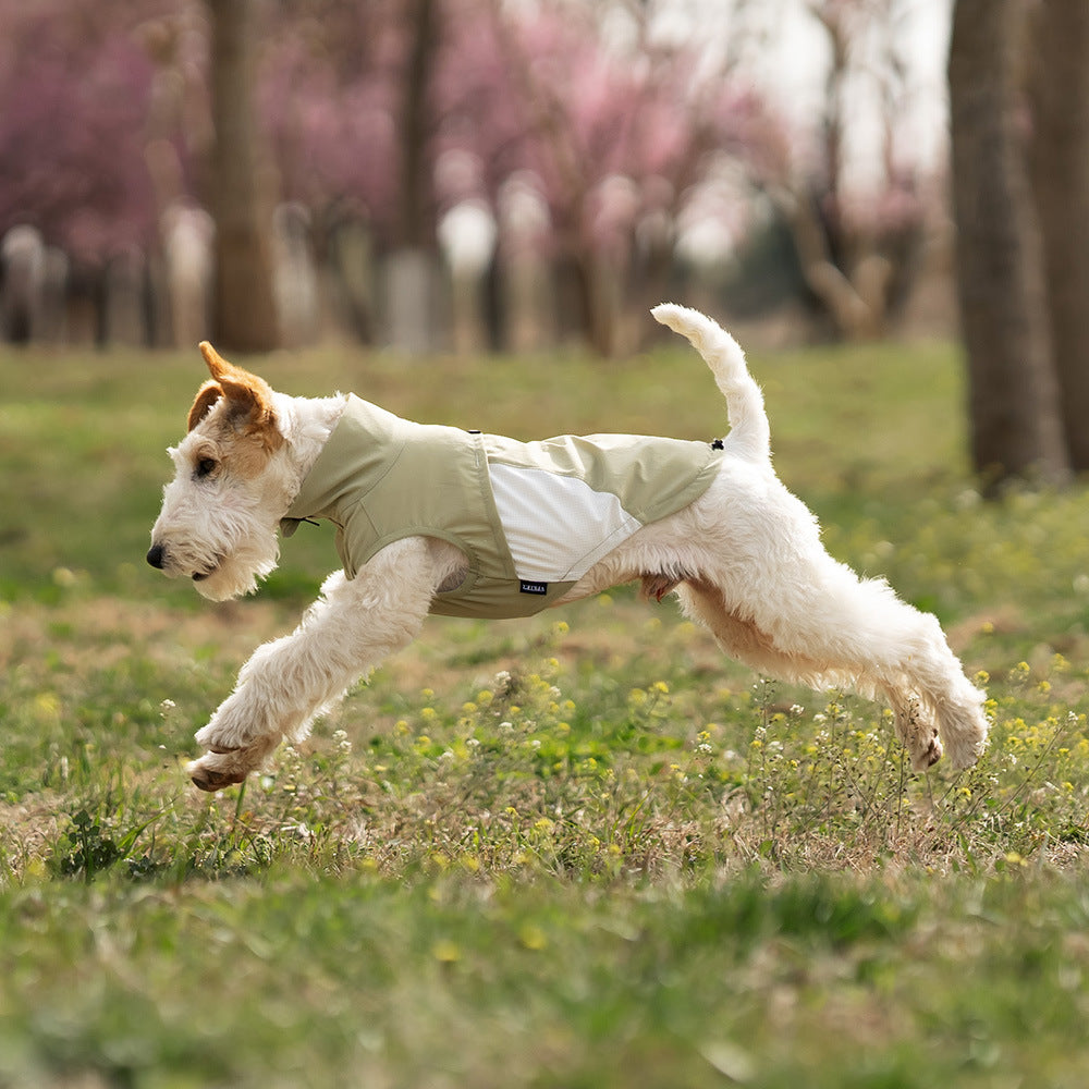 AeroDry Dog Vest