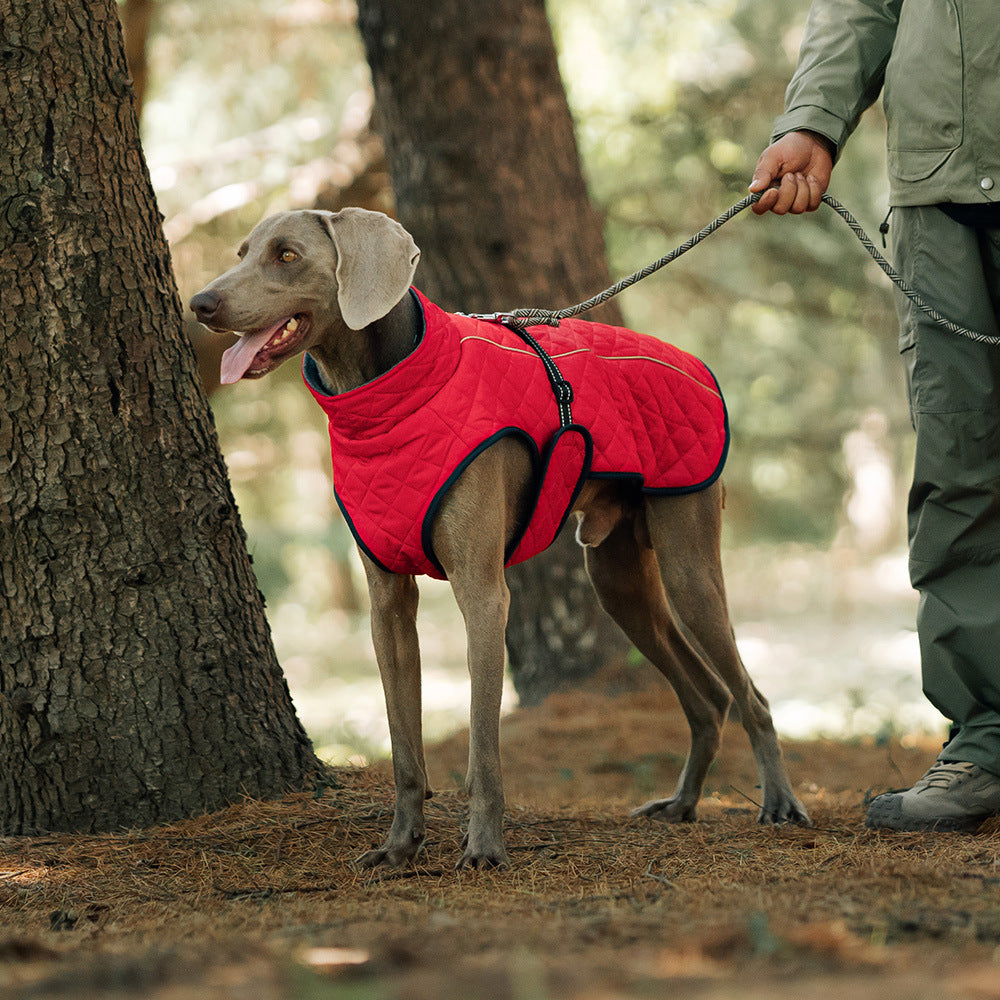 Reflective Dog Vest